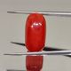 13.10cts(14.41Ratti) Natural  Certified Italian Red Coral Moonga