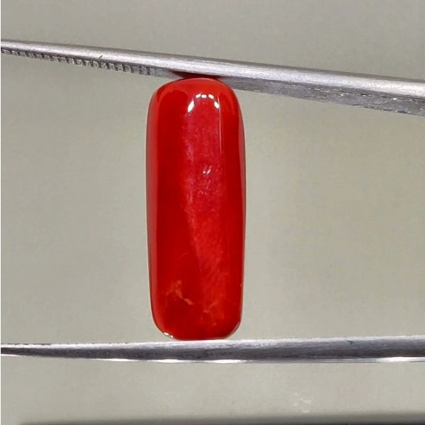 Red coral cheap 14 ratti price